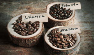 Phân Biệt Các Loại Cafe: 5 Cách Nhận Biết Để Lựa Chọn Phù Hợp