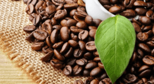 Hướng Dẫn Cách Chưng Cất Tinh Dầu Cà Phê: 5 Bước Đơn Giản Tại Nhà
