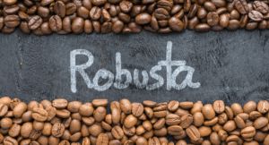 Cà Phê Robusta Có Vị Gì? 8 Điều Thú Vị Bạn Chưa Biết